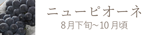 ニューピオーネ 岡山県産果物おすすめ通販お取り寄せ