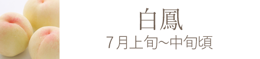 白鳳 岡山県産果物おすすめ通販お取り寄せ