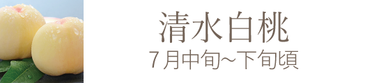 清水白桃 岡山県産果物おすすめ通販お取り寄せ