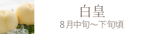 白皇 岡山県産果物おすすめ通販お取り寄せ